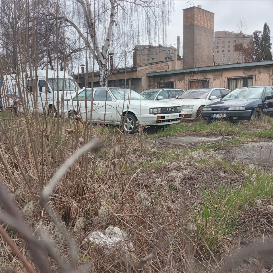 AUDI QUATTRO COUPE 3