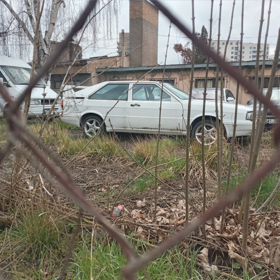 AUDI QUATTRO COUPE 2