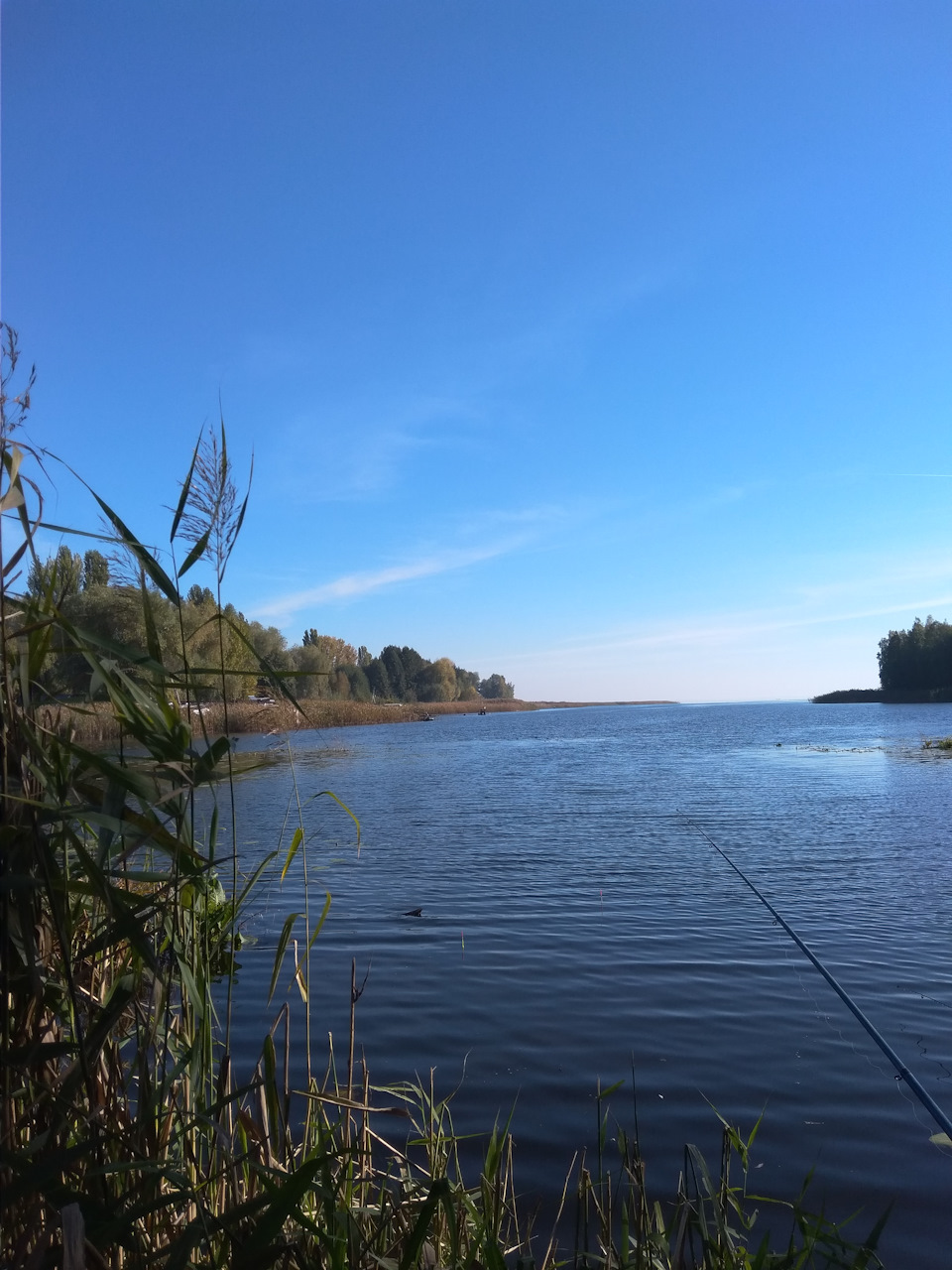 Функція тверезий водій активована 3