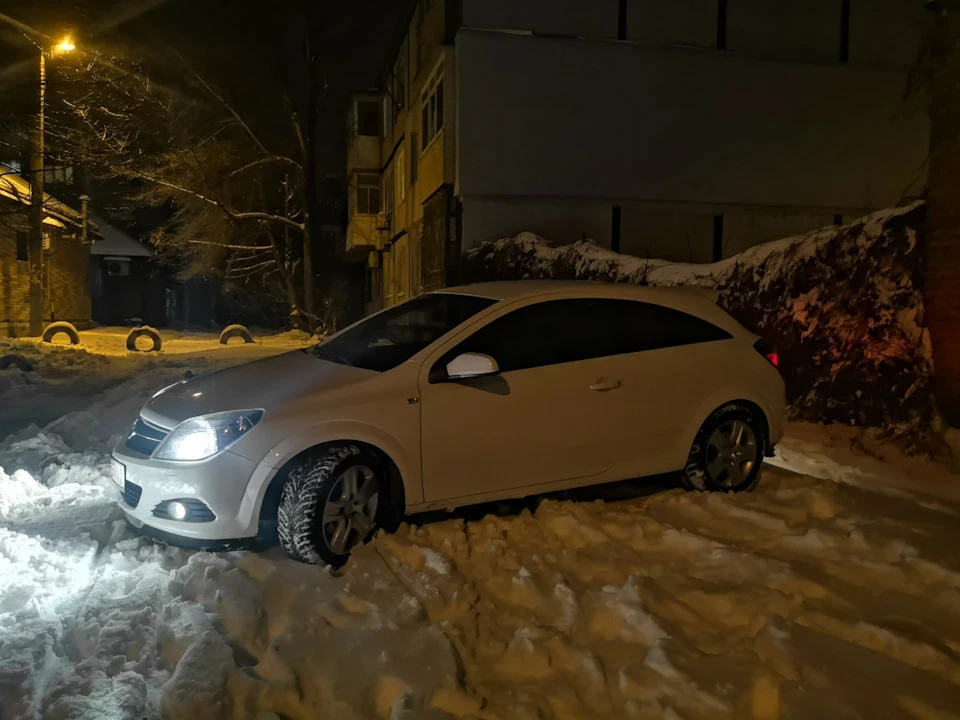 Пережили зиму без явних проблем.