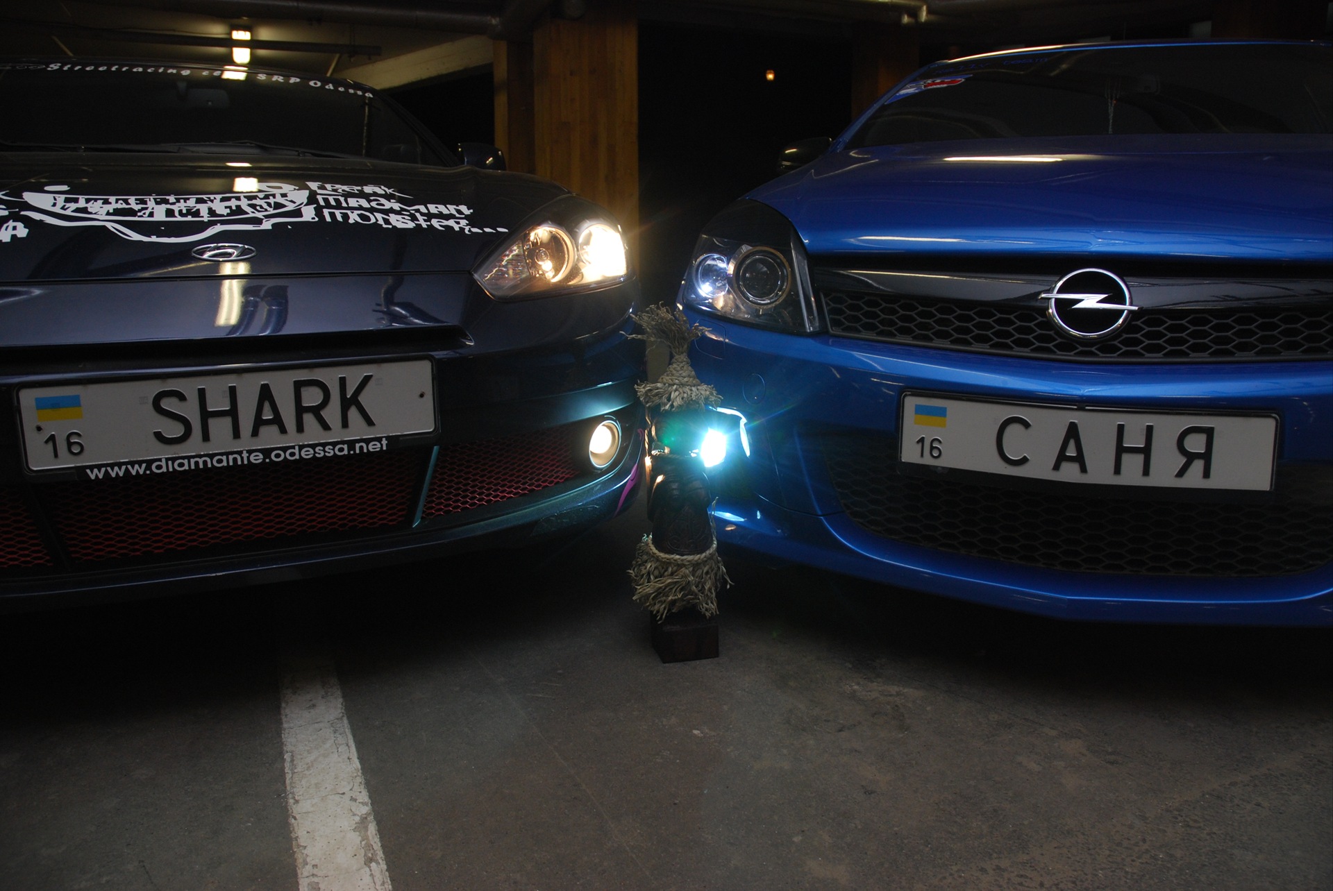 САНЯ & SHARK 5