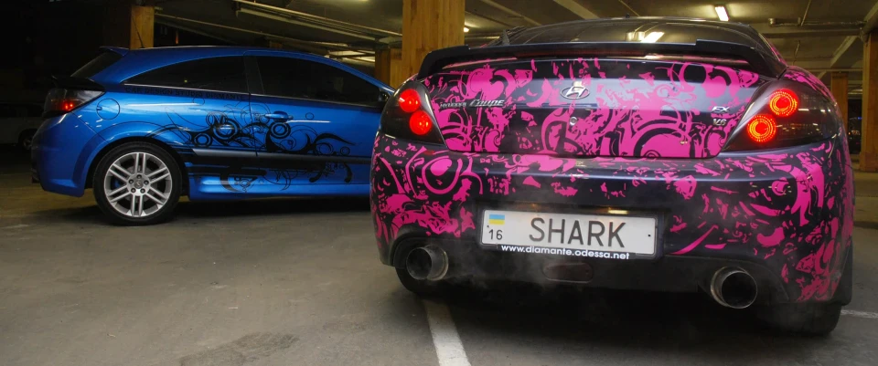 САНЯ & SHARK