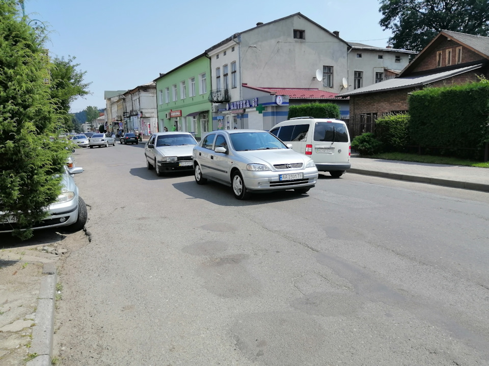 Фаркоп врятував попку. 1