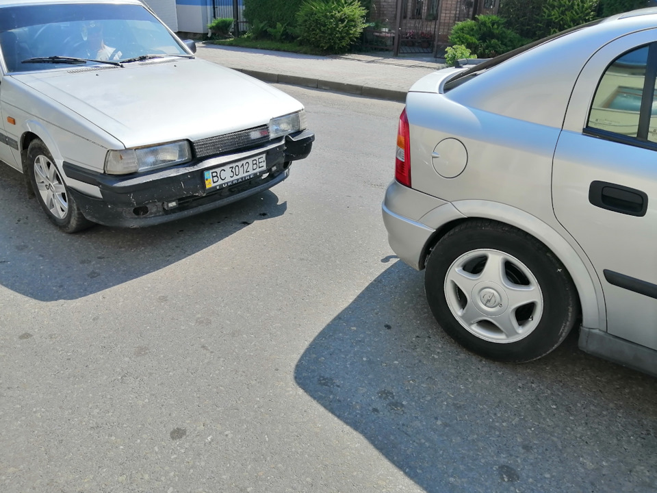 Фаркоп врятував попку. 3