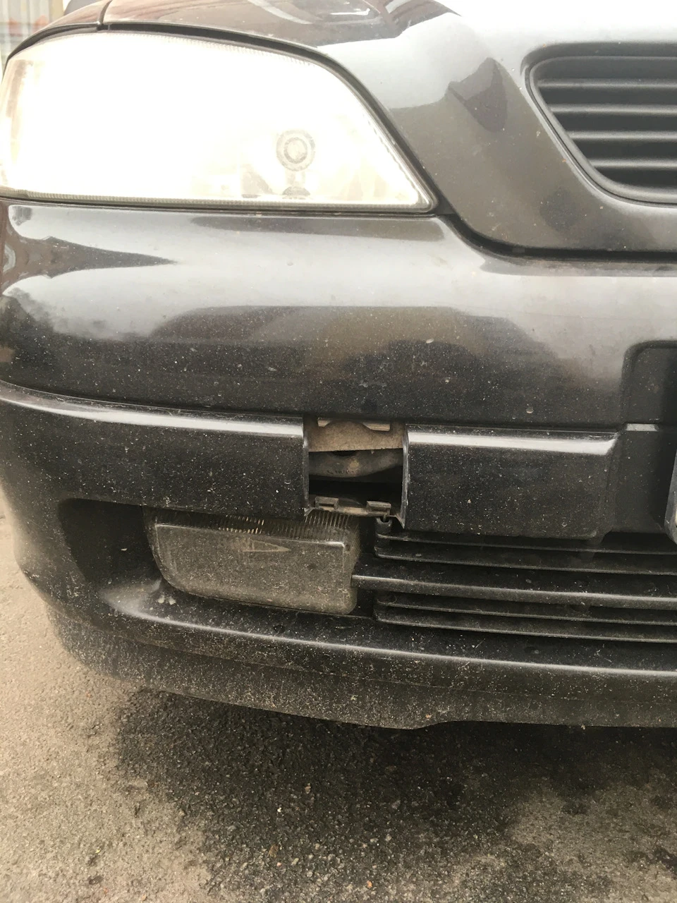 СПІонерілі.