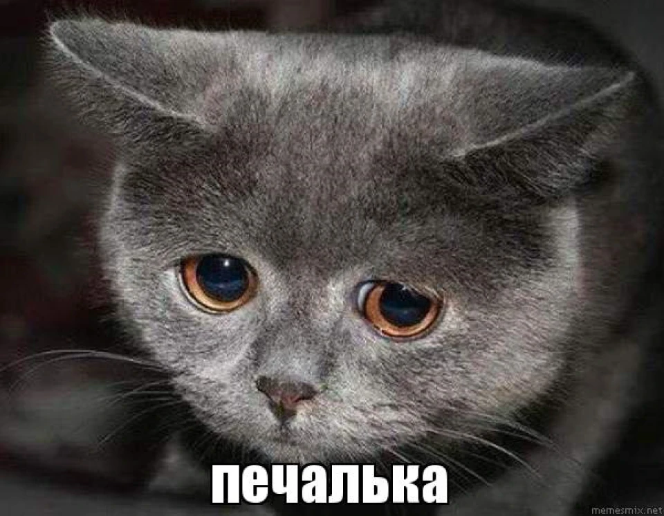 #Помощипост Глохне
