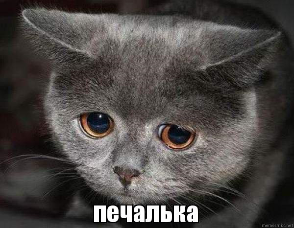 #Помощипост Глохне 1