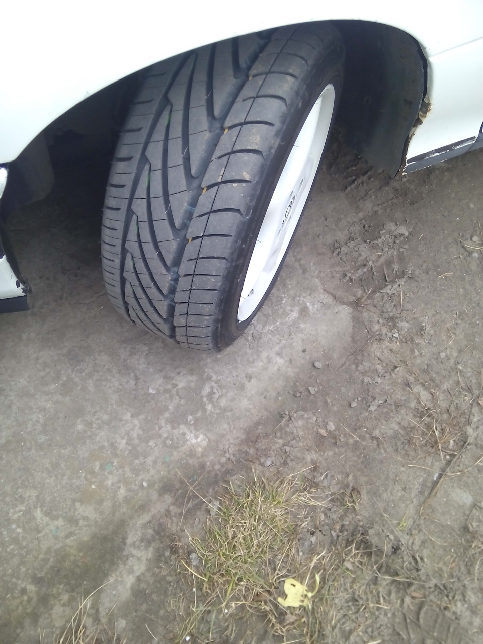 Поставив R15 2