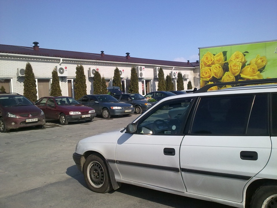 8 березня, треба їхати за квітами 1