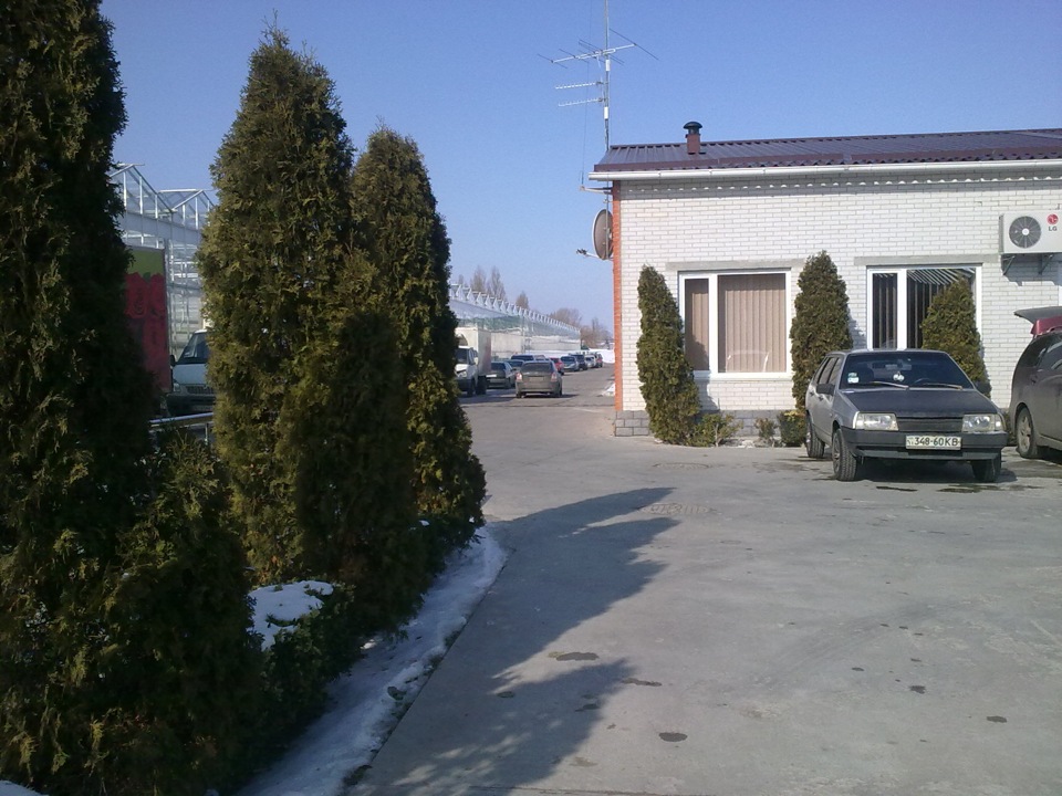 8 березня, треба їхати за квітами 2
