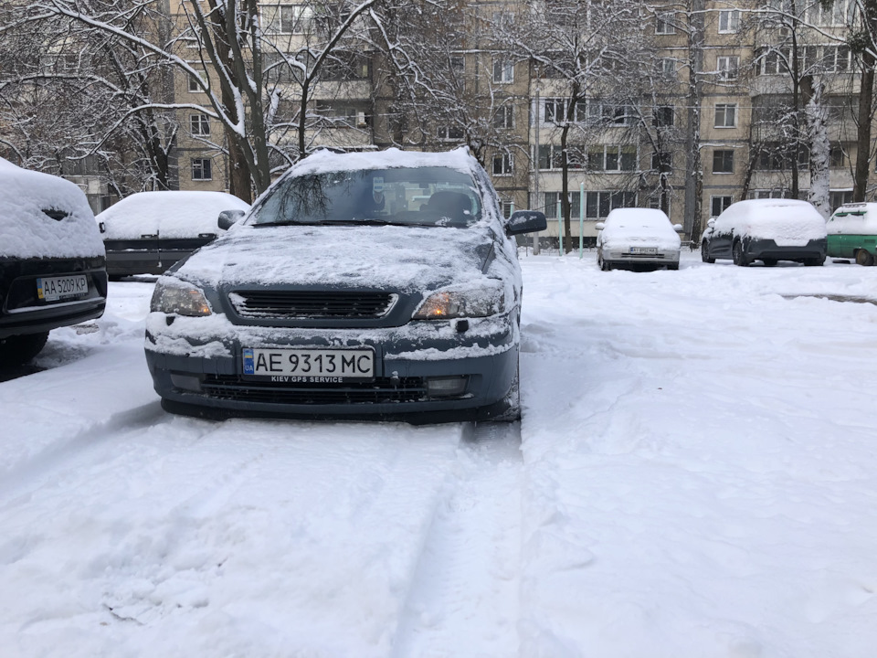 Рік разом з Астрою:) 4