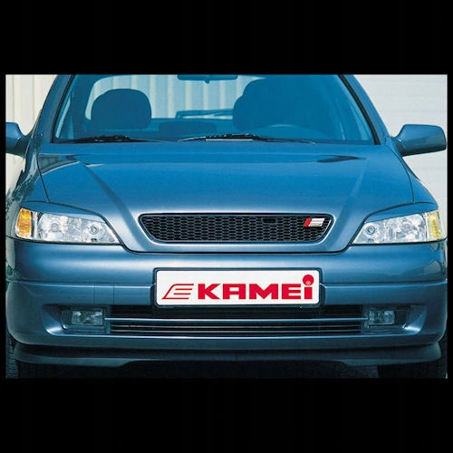 Kamei Grill Astra G - грати Камей Astra G 1
