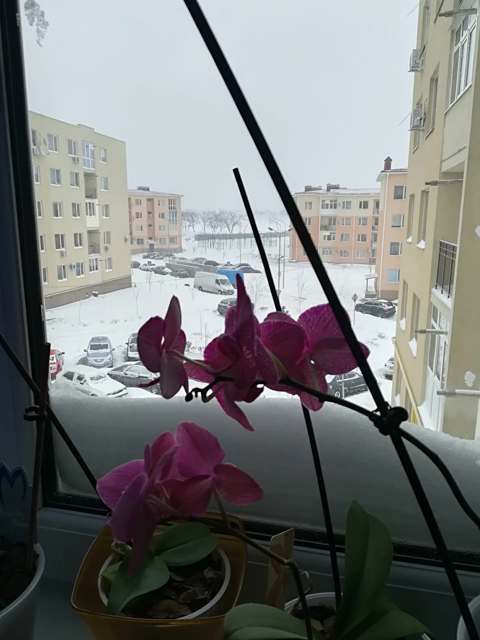 Всіх з весною)))