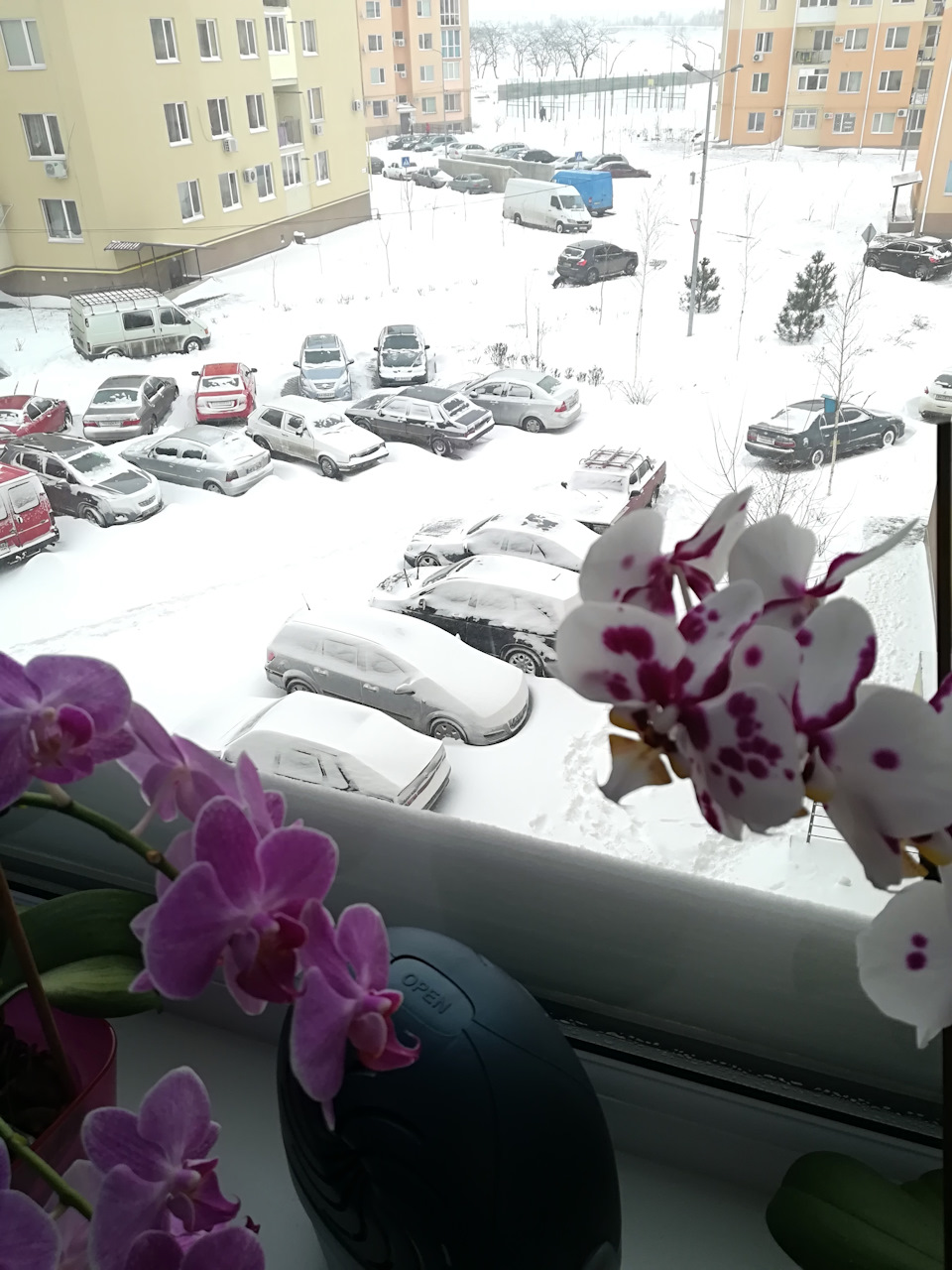Всіх з весною))) 3