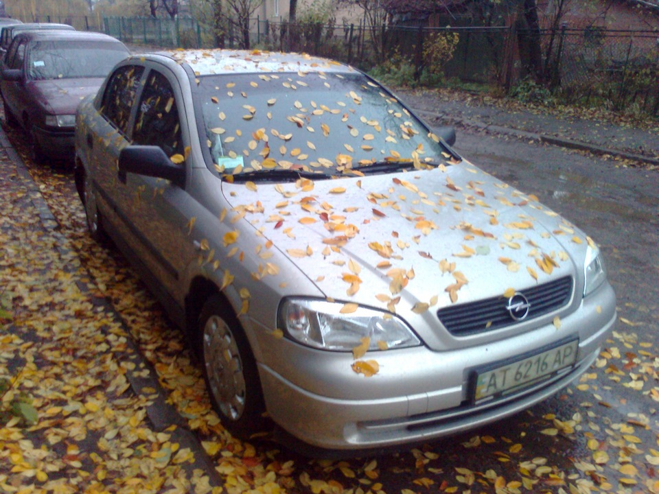 пока золота осінь 1