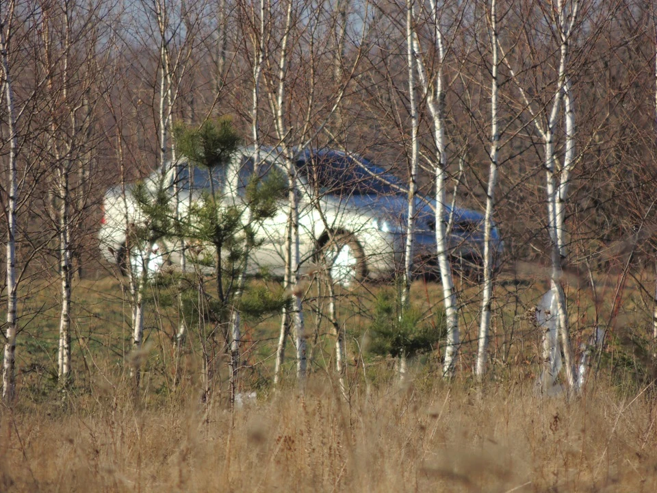 ось так зараз