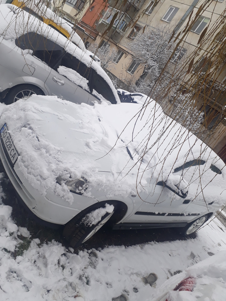 ЖОПА 1