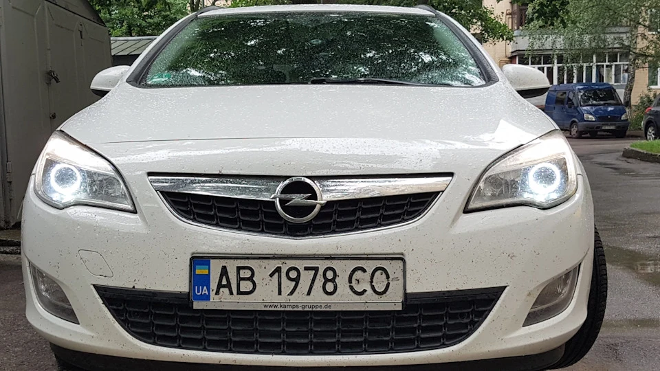 Білі ДХО