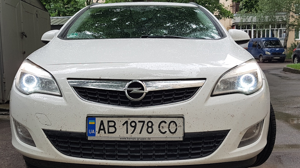 Білі ДХО 1