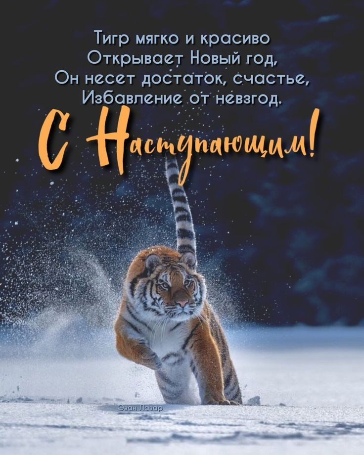 Гумки для двірників з Алі, але головне не це ... 2