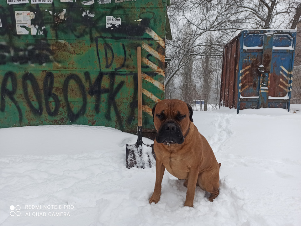 Справи гаражні 1