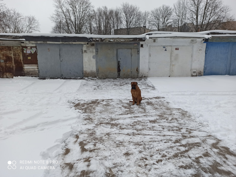 Справи гаражні 3