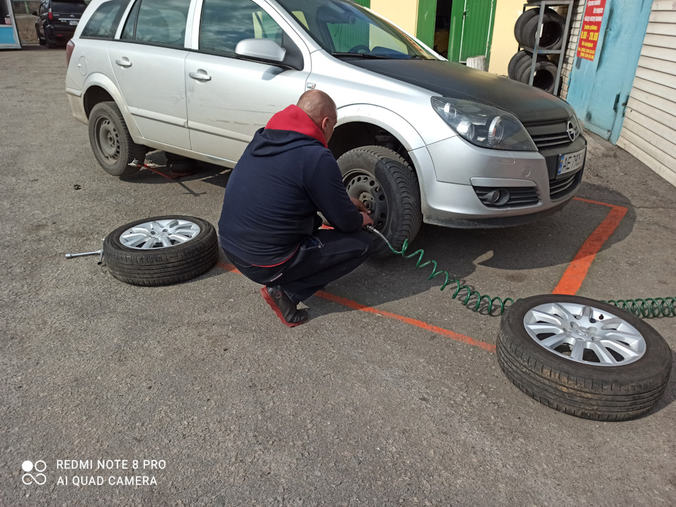 У айстри видався гарний день) 1