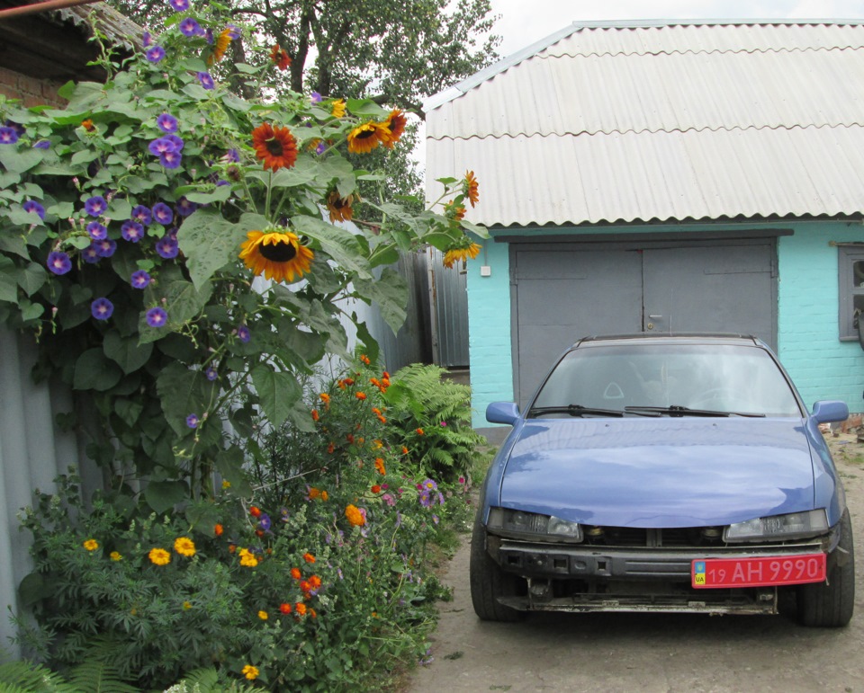 каля) 4