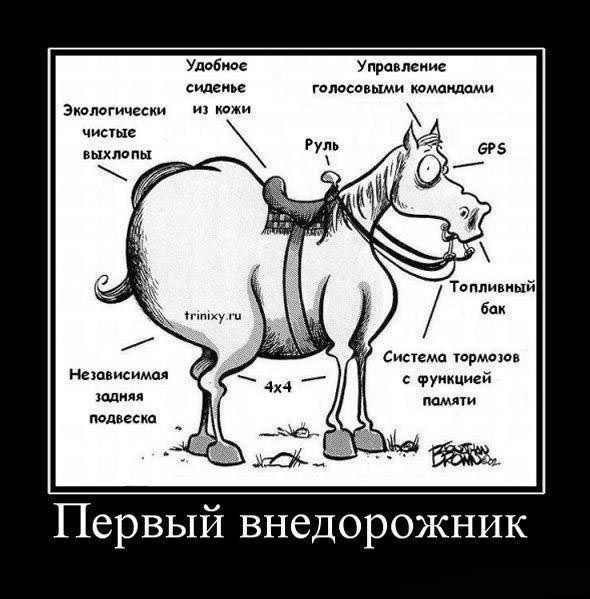 Позитивник)))) 4