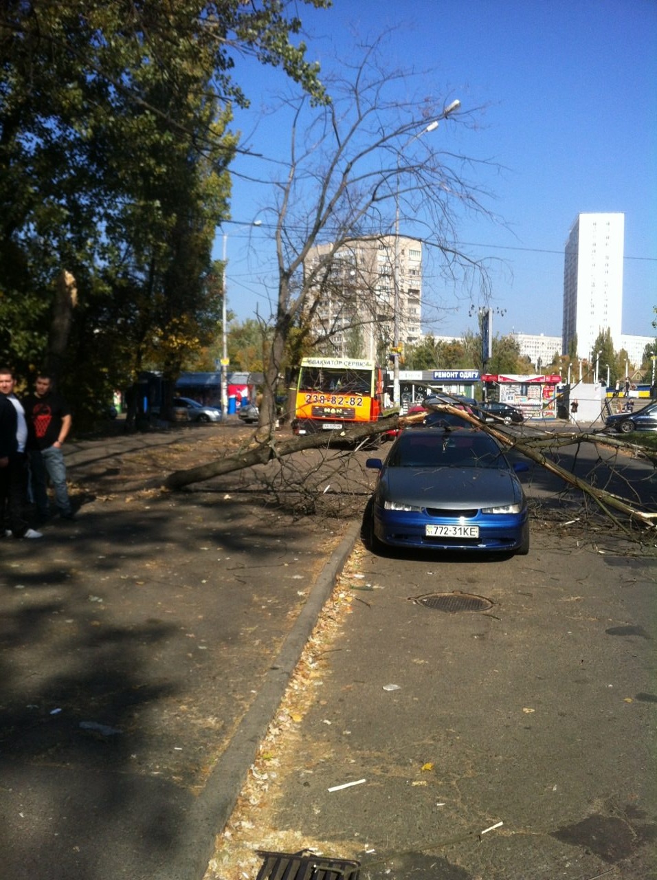 Дерево впало на машину! не фарт 4