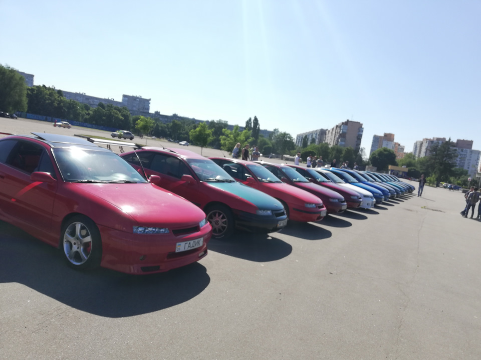 Сходка 2018 1