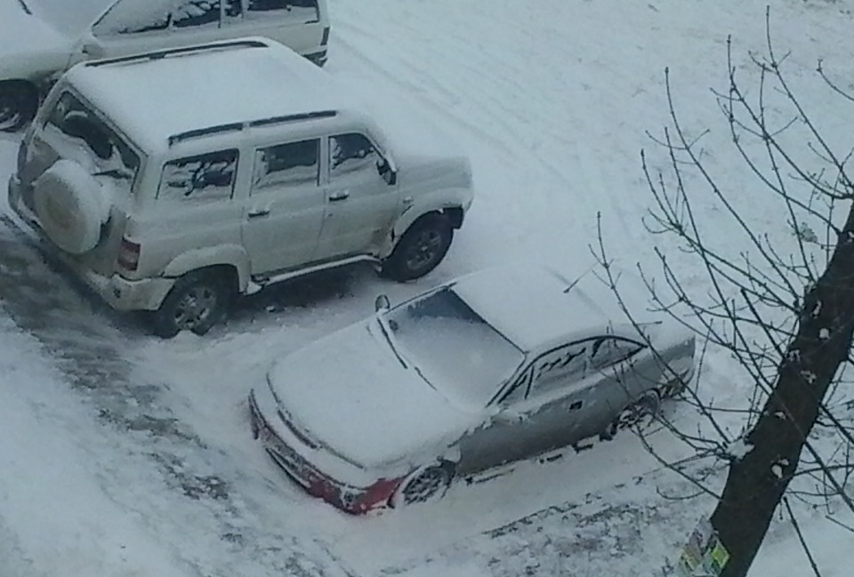 Зима несподівано 1