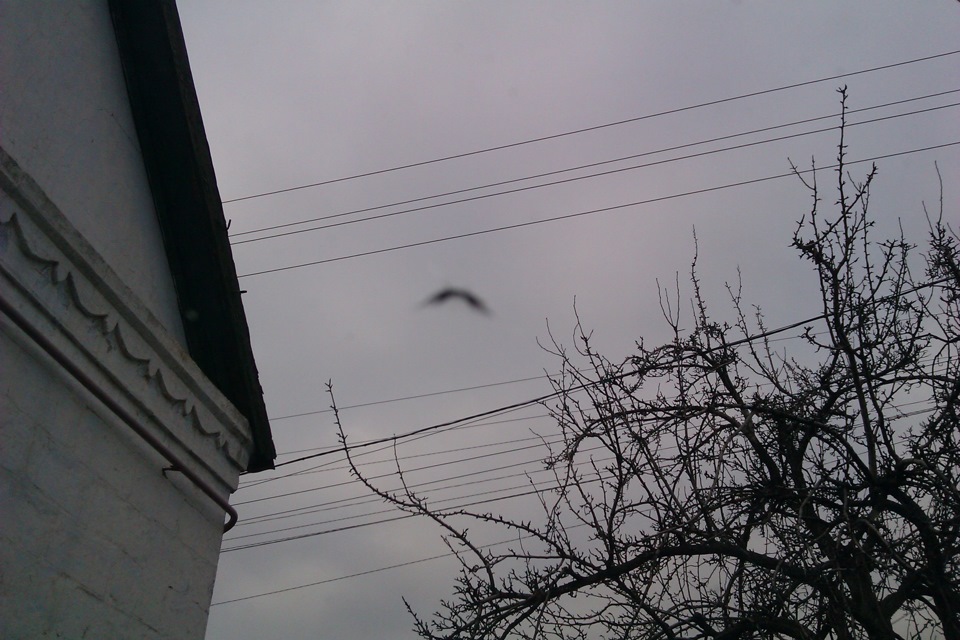 І знову неприємність :( 3