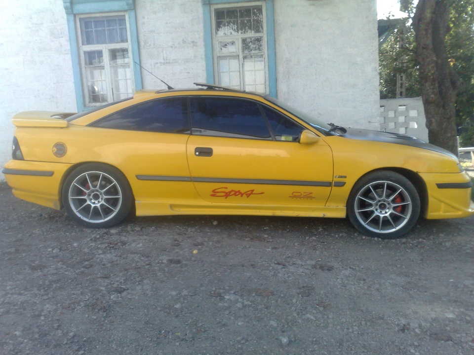 Мої 17 Тапки 4