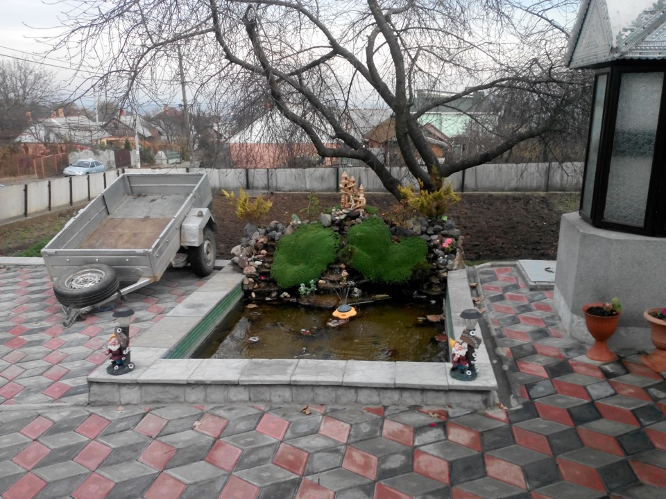 Помил свого звіра 4