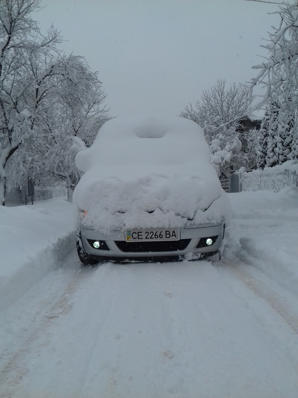 Зима в Черновцах 1