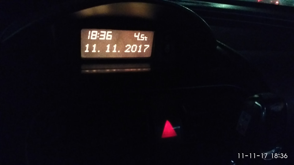 Ось така вона... незабудка 2