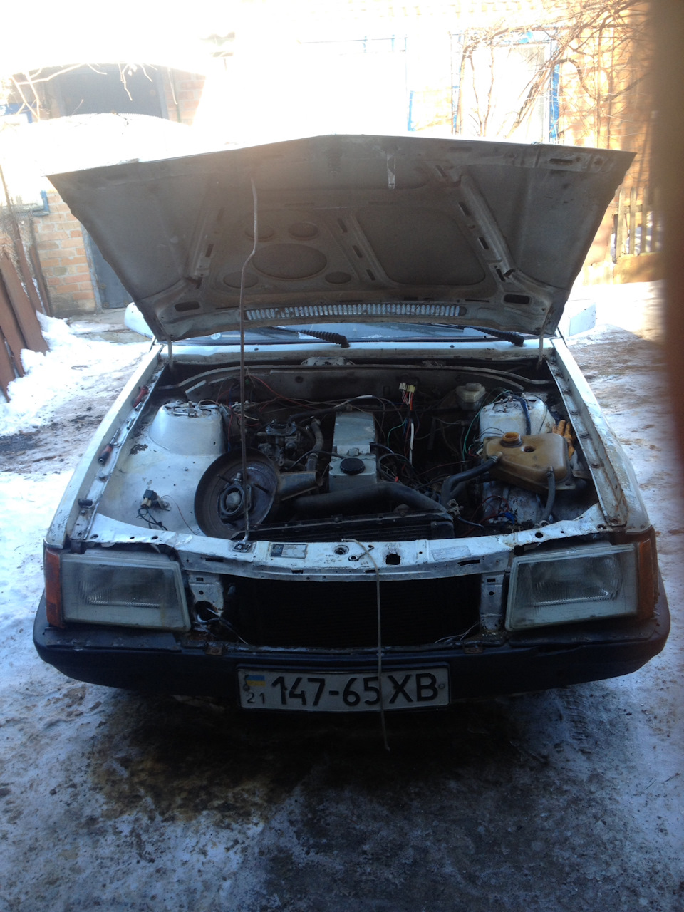 Не красуня, але все ж таки. 3