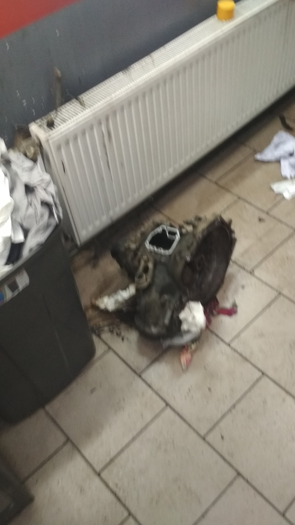 Боротьба йде поки що без успіхів ... ну нічого 2