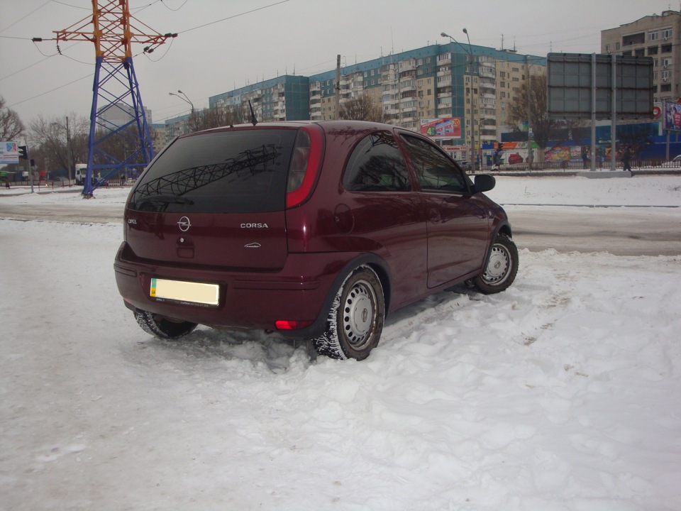 Кілька зимових фото 3