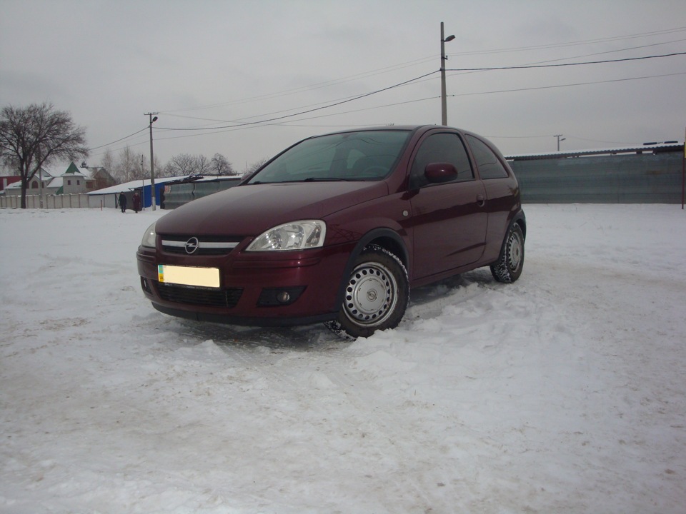Кілька зимових фото 1
