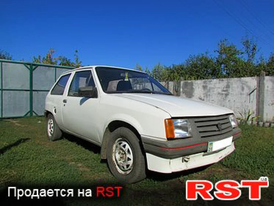 Яка вона була до нашої зустрічі
