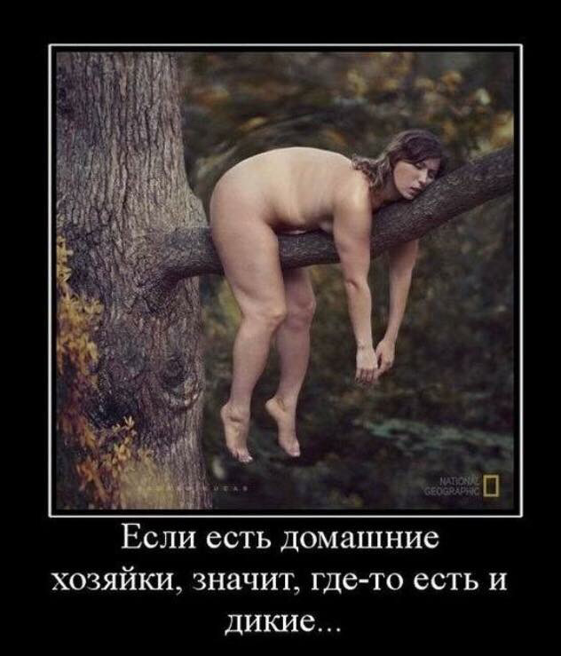 Новий мотор 4