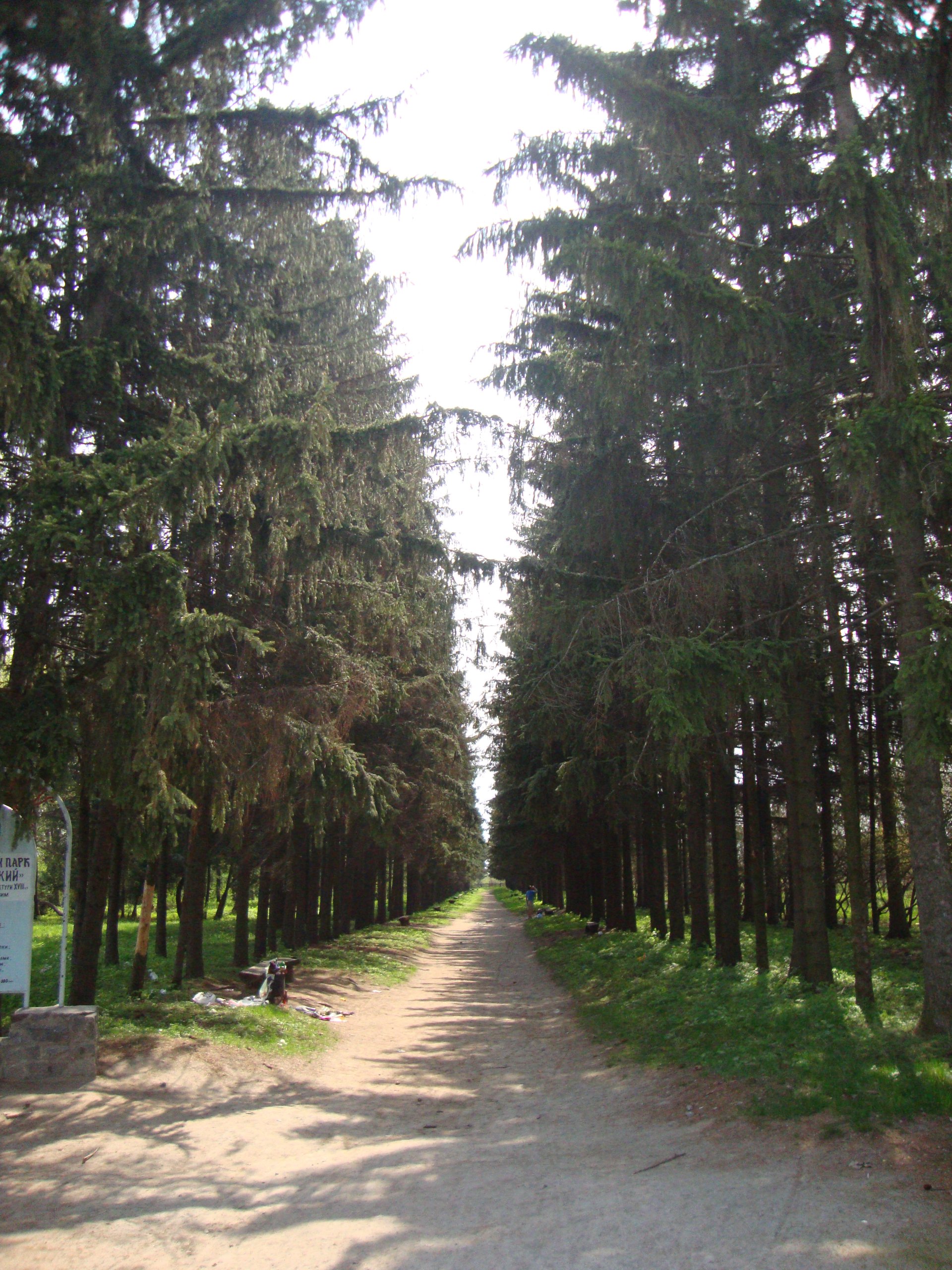 Краснокутський дендропарк 3