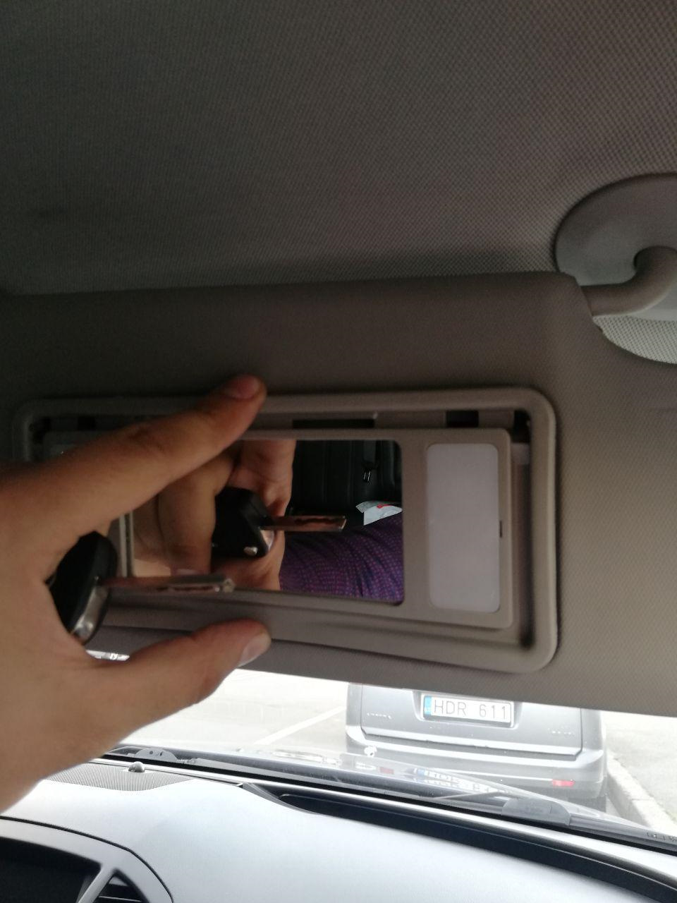 Пасажирський козирок 1