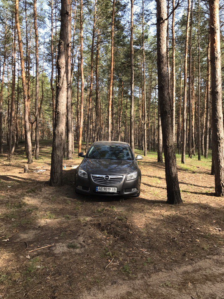 кілька фото і кілька слів 5