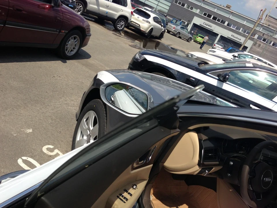 прокопупка звірятка