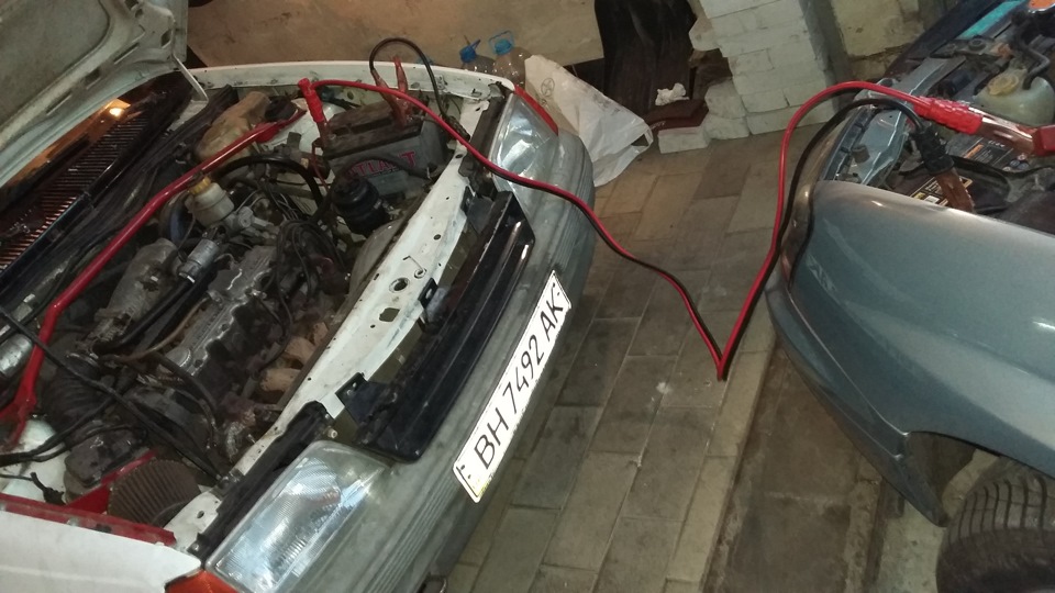 Заїхали провідати Кадік 1