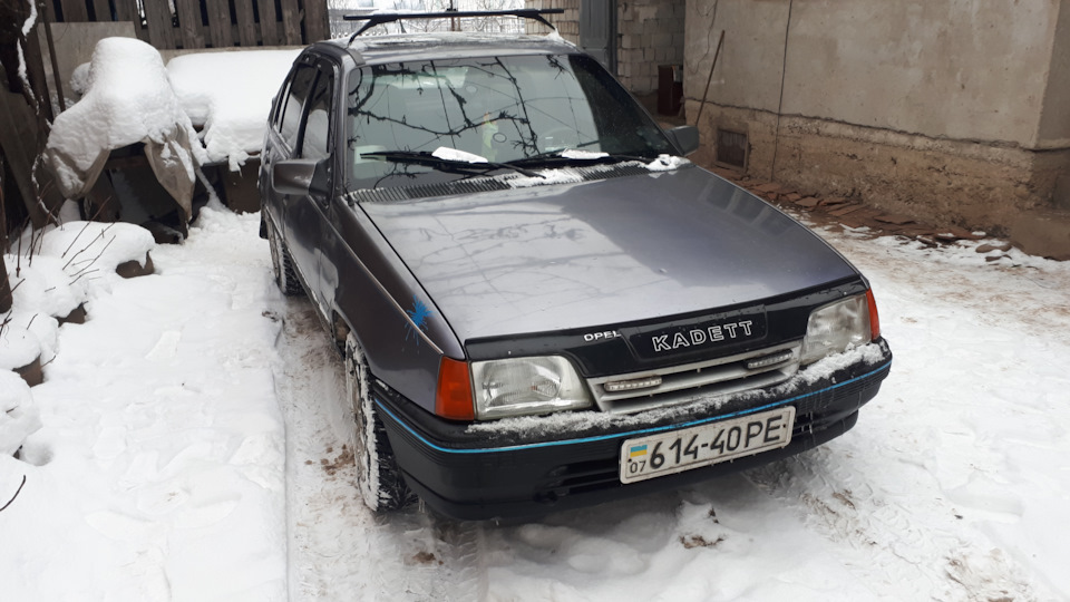 Няшки для ластівки 2