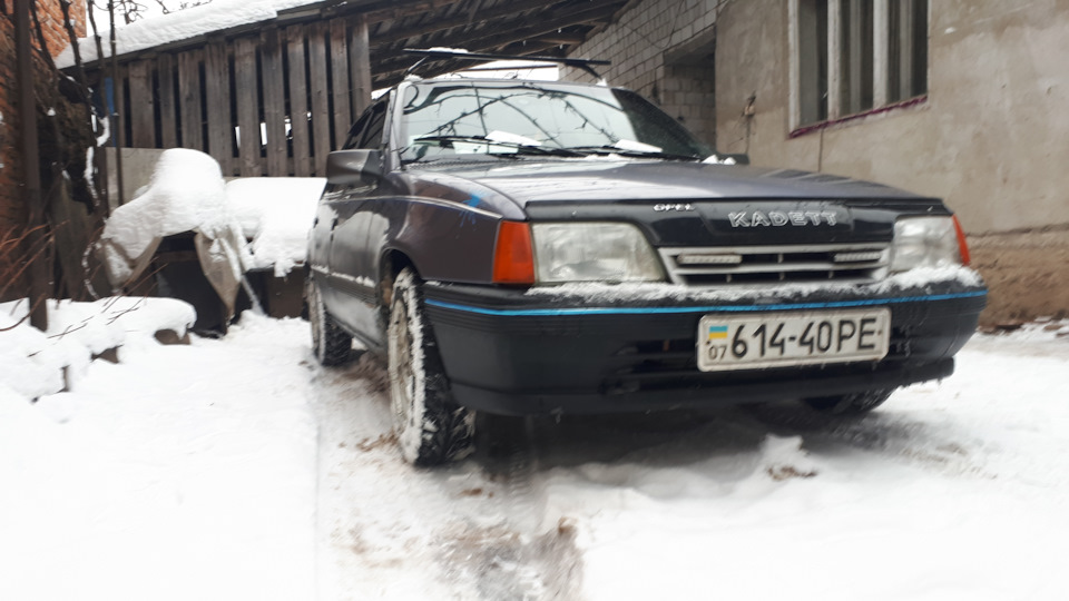 Няшки для ластівки 3